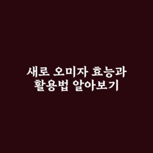 새로 오미자 효능과 활용법 알아보기
